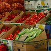 Большой урожай приносит фермерам одни убытки
