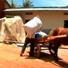 В Камбодже появились клиники для пони