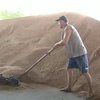 Украине стало невыгодно продавать зерно за рубеж