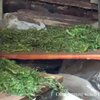 Киевские милиционеры распространяли наркотические вещества