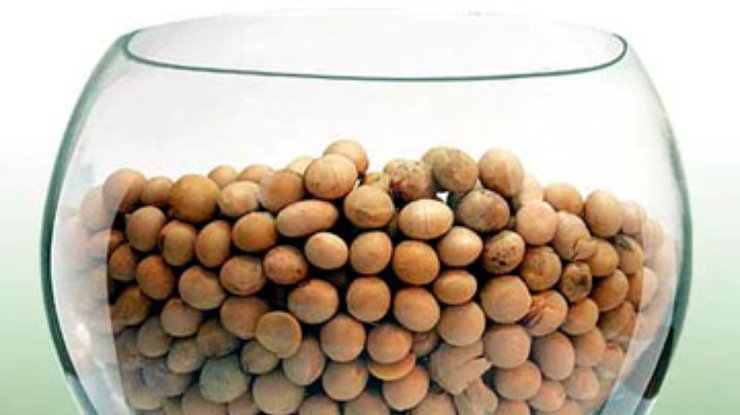 Немецкие ученые составили список продуктов, продлевающих жизнь