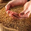 Экспорт украинской агропродукции в Евросоюз будет беспошлинным
