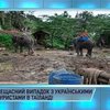 Тайский слон покалечил двоих украинцев