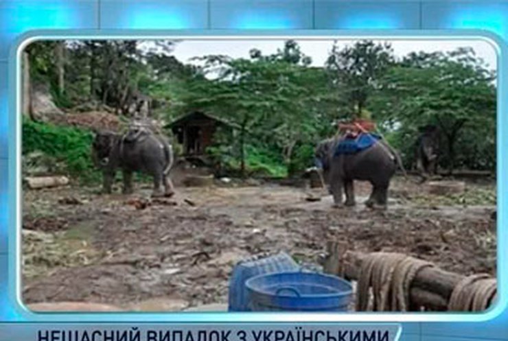 Тайский слон покалечил двоих украинцев