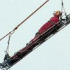 Российские МЧСники спасли плюшевого тигра из горящего общежития