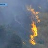 В Бразилии бушуют лесные пожары