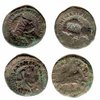 В Эстонии обнаружили древние монеты XIII века