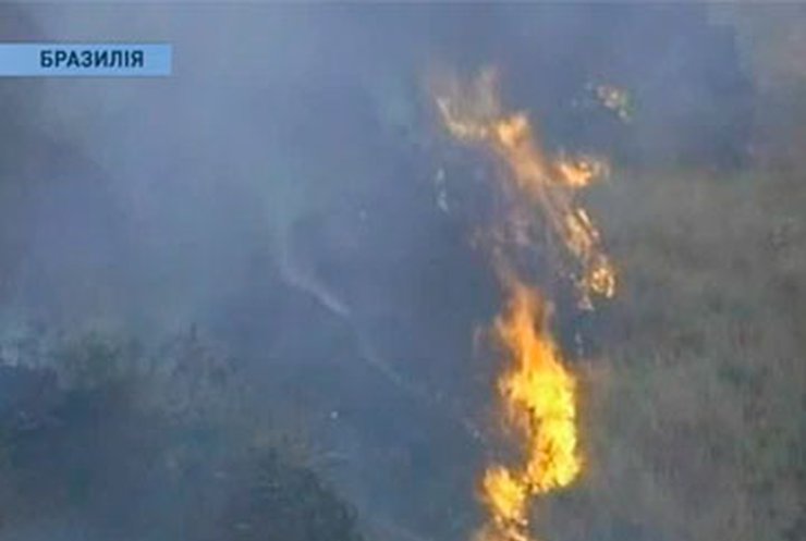 В Бразилии бушуют лесные пожары