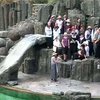 Пражскому зоопарку исполнилось 80 лет