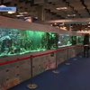 В Тайване построили самый большой аквариум в мире