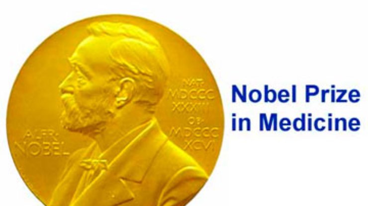 Представлены лауреаты Нобелевской премии по медицине и физиологии