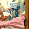 В Луганской области в очередной раз отравились грибами