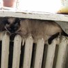 Киевэнерго начнет подключать дома к отоплению 10 октября