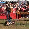 В США прошел чемпионат по перенесению жен