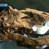На аукционе "Сотбис" с молотка ушли динозавры