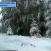 Румынию засыпало снегом