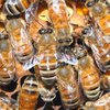 Турецкие контрабандисты "отбивались" от полиции пчелами
