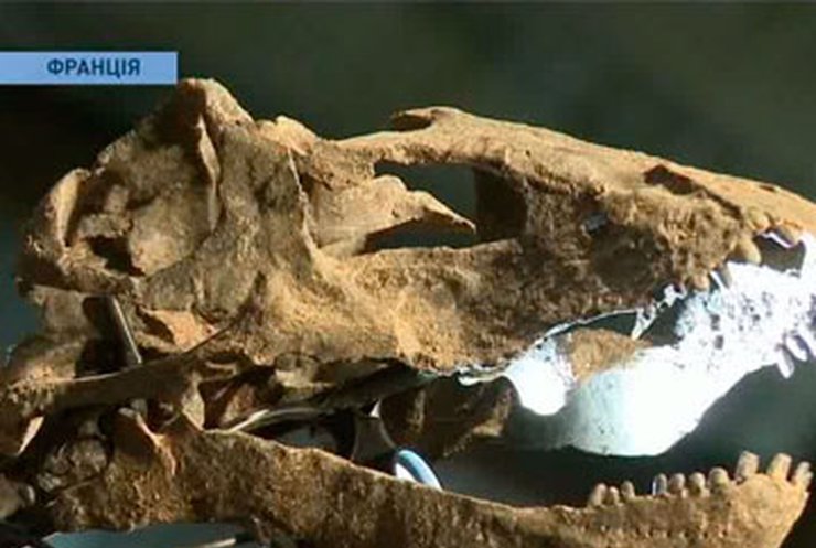 На аукционе "Сотбис" с молотка ушли динозавры