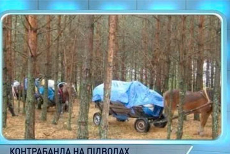 Украинцы пытались провезти контрабанду трикотажа в Беларусь