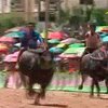 В Таиланде стартовали гонки на буйволах