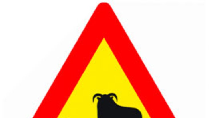 В Москве пастух вывел стадо баранов попастись на шоссе