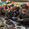 В Миргороде прошел фестиваль, посвященный свиньям