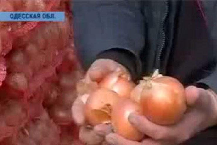 Украина готовится к продовольственному кризису