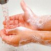 Более 90% британцев не моют руки после туалета
