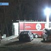 В США дикие животные сбежали с фермы