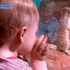В Австралии маленьким детям провели сеанс зоотерапии