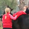 На Прикарпатье организовали лечебную ферму для детей