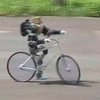 Японцы изобрели робота велосипедиста