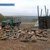 Харьковский фермера поймали на незаконном производстве угля