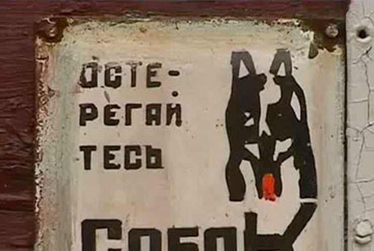 В Луганске собака искусала двух девочек