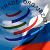 Грузия пустила Россию в ВТО