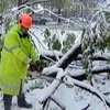 В США растет количество жертв снегопада