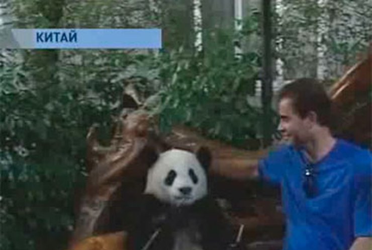 Звезды тенниса встретились с пандами