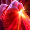 Израильские врачи будут диагностировать болезни сердца за пару минут