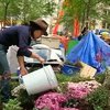 В Нью-Йорке протестующие обеспокоились экологией
