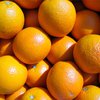 Фермеры подарили семимиллиардному жителю Земли тонну апельсинов