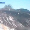 Серфингистка встретилась на тренировке с китом