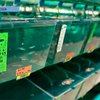 Аквариумные рыбки помогут бросить курить