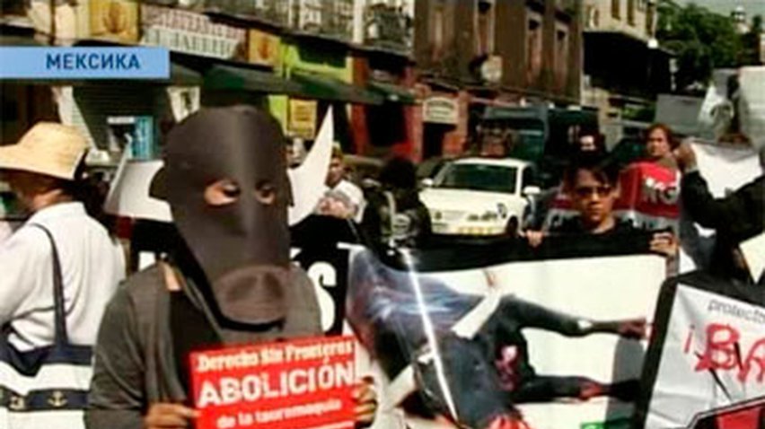 В Мексике защитники животных требуют запретить корриду