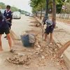 В Таиланде слоны помогают помогают разбирать завалы