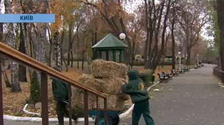 В Киевском зоопарке вторую неделю идут прокурорские проверки