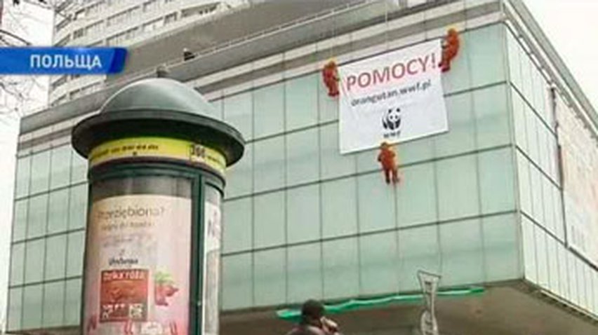 В Варшаве прошла акция протеста защитников животных