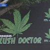 В Калифорнии предлагают полностью легализовать марихуану