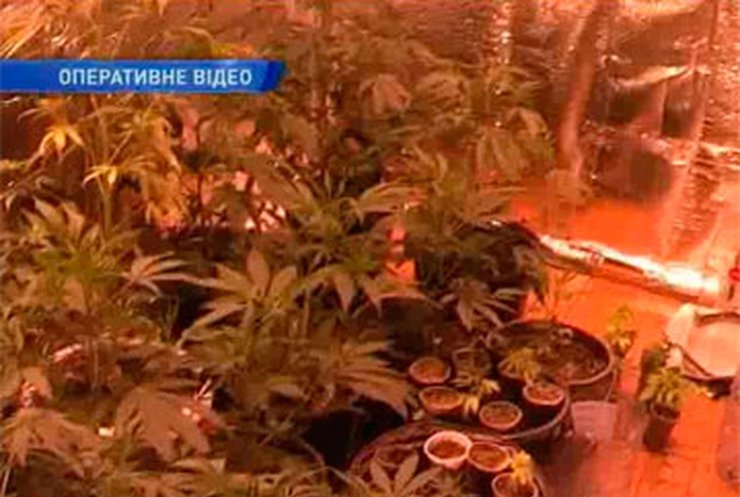 В Одесской области и Крыму обнаружили несколько подпольных нарколабораторий