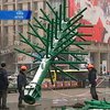 Майдан готовят к установке новогодней елки