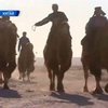 В Китае устроили гонки на верблюдах